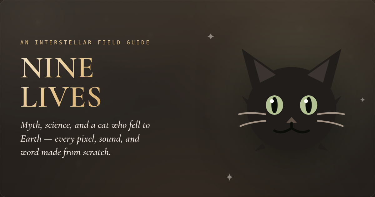 Nine Lives — an interstellar field guide to the domestic cat